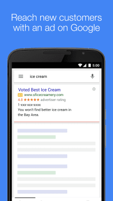 Screenshot of the application AdWords Express - #1