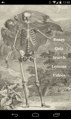 Screenshot of the application Bones - #1