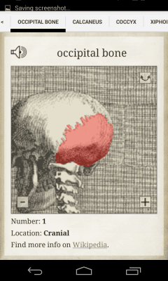 Screenshot of the application Bones - #2