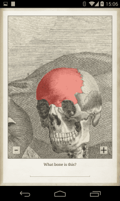 Screenshot of the application Bones - #3