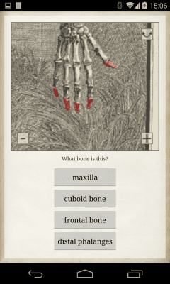 Screenshot of the application Bones - #4