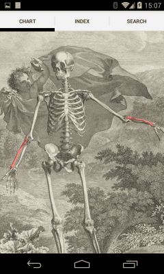 Screenshot of the application Bones - #5