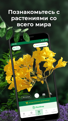 Screenshot of the application PlantSnap - Identifying Plants, Trees, Flowers - #1