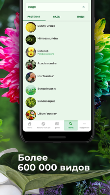 Screenshot of the application PlantSnap - Identifying Plants, Trees, Flowers - #3