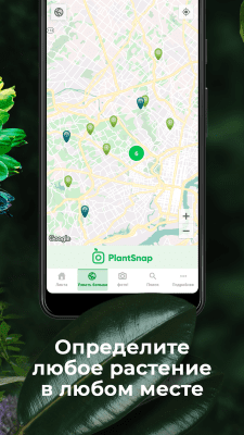 Screenshot of the application PlantSnap - Identifying Plants, Trees, Flowers - #4