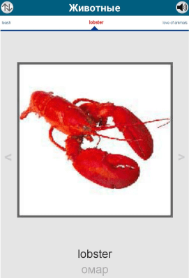 Screenshot of the application 50 languages - 50 languages - #6