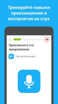 Screenshot of the application Duolingo - #4