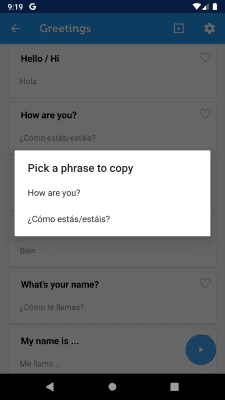 Screenshot of the application Learn Spanish Phrasebook - #5