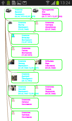Screenshot of the application Genealogical family tree - #3