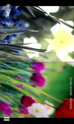 Screenshot of the application Dog vision - #3