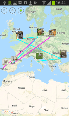 Screenshot of the application Animal Pedigree (Android) - #5