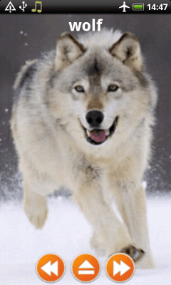 Screenshot of the application Animal Sounds Free Offline - #5