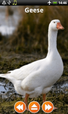 Screenshot of the application Animal Sounds Free Offline - #7