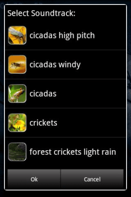 Screenshot of the application Crickets - #2