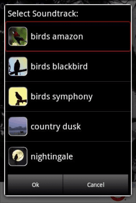 Screenshot of the application Bird Songs - #2