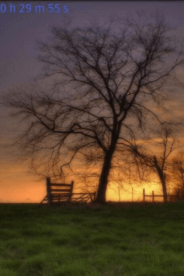 Screenshot of the application Bird Songs - #4