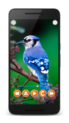 Screenshot of the application Sounds of Birds - #2