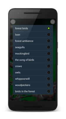 Screenshot of the application Sounds of Birds - #3