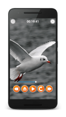 Screenshot of the application Sounds of Birds - #5