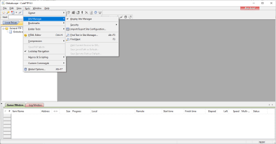 Screenshot of the application CuteFTP - #8