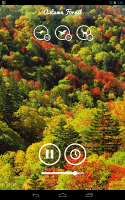 Screenshot of the application Forest Sounds - #9