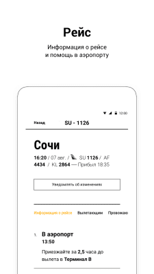 Screenshot of the application Sheremetyevo airport - #2