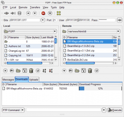 Screenshot of the application Free Open FTP Face - #6