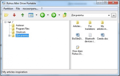 Screenshot of the application Rohos Mini Drive - #3