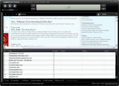 Screenshot of the application Songbird - #2