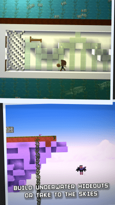 Screenshot of the application The Blockheads - #3