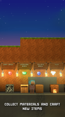 Screenshot of the application The Blockheads - #4