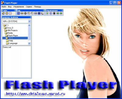 Screenshot of the application Flash Player for Windows - #1