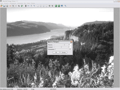 Screenshot of the application Altarsoft Image Viewer - #3