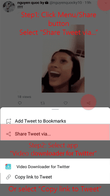 Screenshot of the application Video Downloader for Twitter - #1