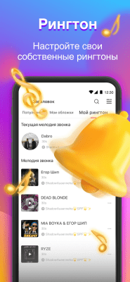 Screenshot of the application StarMaker - #4