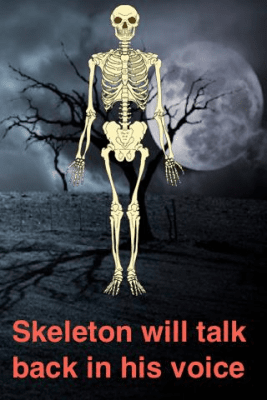 Screenshot of the application Talking Skeleton - #2