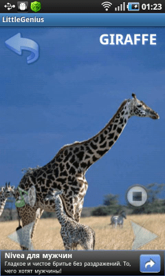 Screenshot of the application My little genius - #4