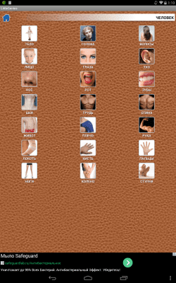 Screenshot of the application My little genius - #6