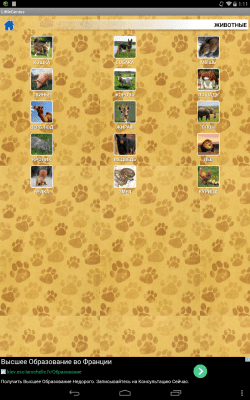 Screenshot of the application My little genius - #7