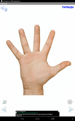 Screenshot of the application My little genius - #8