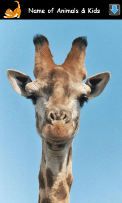 Screenshot of the application Learning Animal Sounds - #3