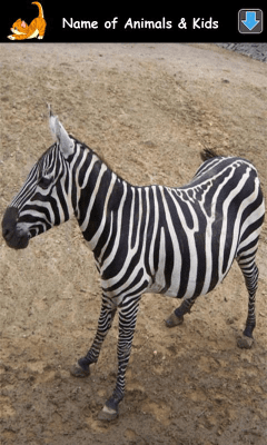 Screenshot of the application Learning Animal Sounds - #7