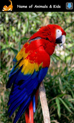 Screenshot of the application Learning Animal Sounds - #8