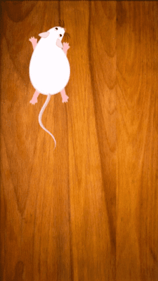 Screenshot of the application Game For Cats - #4