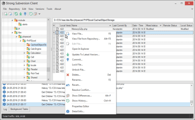 Screenshot of the application StrongSVN - #3