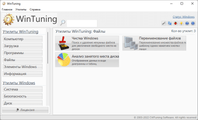 Screenshot of the application WinTuning 7 - #4