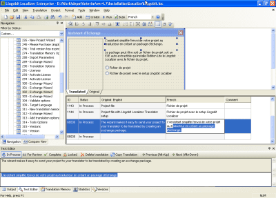 Screenshot of the application Lingobit Localizer - #5