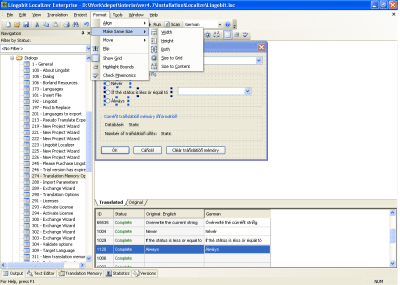 Screenshot of the application Lingobit Localizer - #6