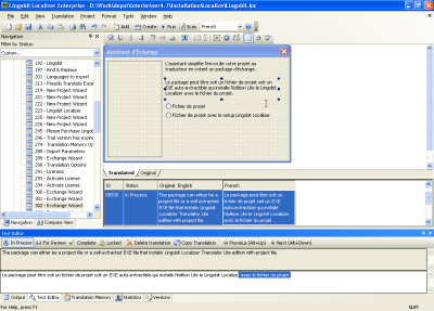 Screenshot of the application Lingobit Localizer - #7