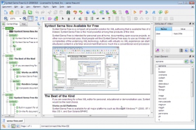 Screenshot of the application Syntext Serna Free for Windows - #1